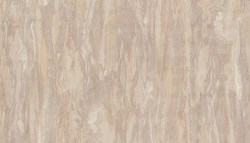 Нет заданного изображения 