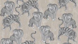 Нет заданного изображения 