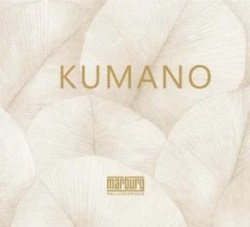 Нет заданного изображения 