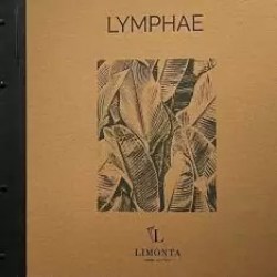 Нет заданного изображения 