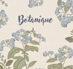 Нет заданного изображения 