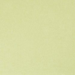 01ff50a5-425b-488c-88b9-4b3e78d2e76b