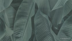 0a9aa36a-d433-4111-8f95-8fd945ce5546