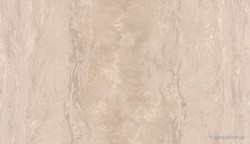 21856a01-ee3a-4cfd-a640-2eb3e282d569