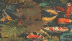 27b8d33a-2d2b-4e6d-9d0c-4a75d86bc0e3