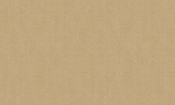 4437435b-c50b-45ba-ba44-a829b27c77f9