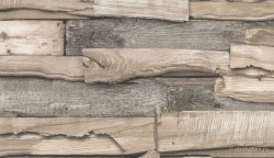 450a254c-38ab-4ca5-89fb-3155b4f83ea0