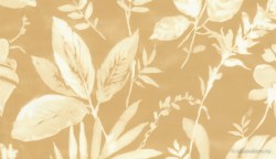 479caab8-9869-43db-aedb-4b780f83b41d