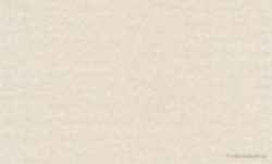 4a5c9081-ef31-488e-8bc6-42fa2aa9fe53