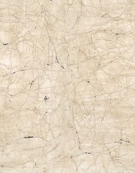 4ca35340-da0d-4912-95f3-3658af3c5997