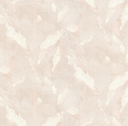 5c683ebb-b190-477b-a000-eeeb1825232f