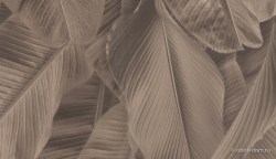 8081362d-d33e-4dab-9014-d4187074d0af