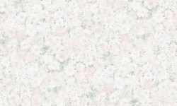 80d27b20-08cc-4f67-852a-c53cf1f9042b