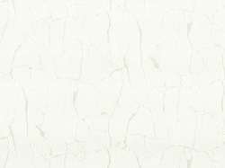 86b41307-8341-4f84-968b-8dfd8098fcf5