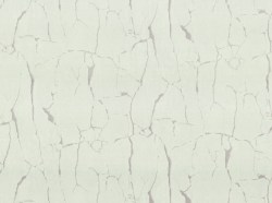 8a5b5c2b-507d-4f26-a4a7-68543223da34