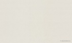 b0082037-6203-406f-b90e-c7b4a71fd28e