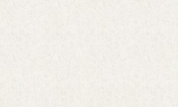 b246e834-24c8-43d5-ad30-b932dcf448cc