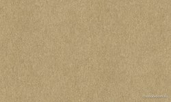 bbc1cc81-d244-438b-a341-7025f645489f