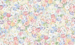 c3da1534-ca24-4408-bf72-d76c7cff74ce