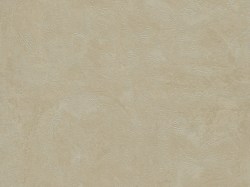 c4727dd6-bd61-4f5c-a2a2-7297848caf1a