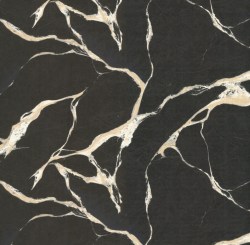 ca453f1f-05d3-455d-8ff7-e46b7e03652d