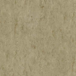 cda05c1e-4bf3-44e0-86a5-f9e6bbaf1dda