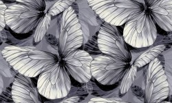 daa9422a-5928-4402-abbe-94fbffb4c638