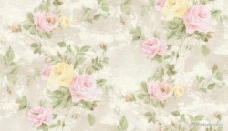 e4b03129-91d7-4687-836e-a4dade149414