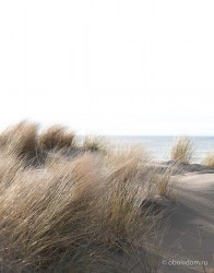 e5a35dfa-1829-404f-b2de-a76e109c3e07