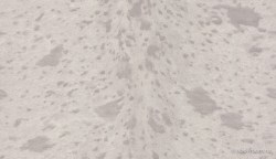 ee378d7a-3738-4dc6-b6f3-cf0ab7f5bdef