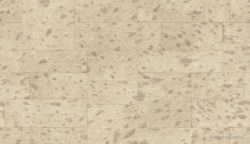 f55966de-22aa-4e00-82af-c2533effe89c