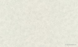 f9c08152-5a86-4485-b8fb-bbe065e8e17b