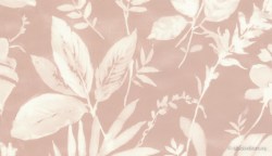 fba0501e-af43-42a8-a6e3-cd4942afd4cd